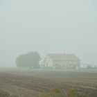 Autostrada 12 La Nebbia