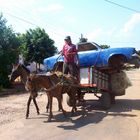 Autotransportado