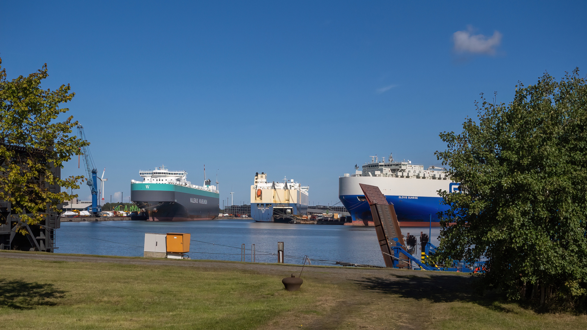 Autotransporter im Hafen 