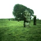 Autour d'Avebury (3)