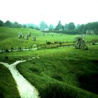 Autour d'Avebury (5)