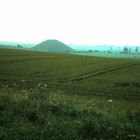 Autour d'Avebury (6)