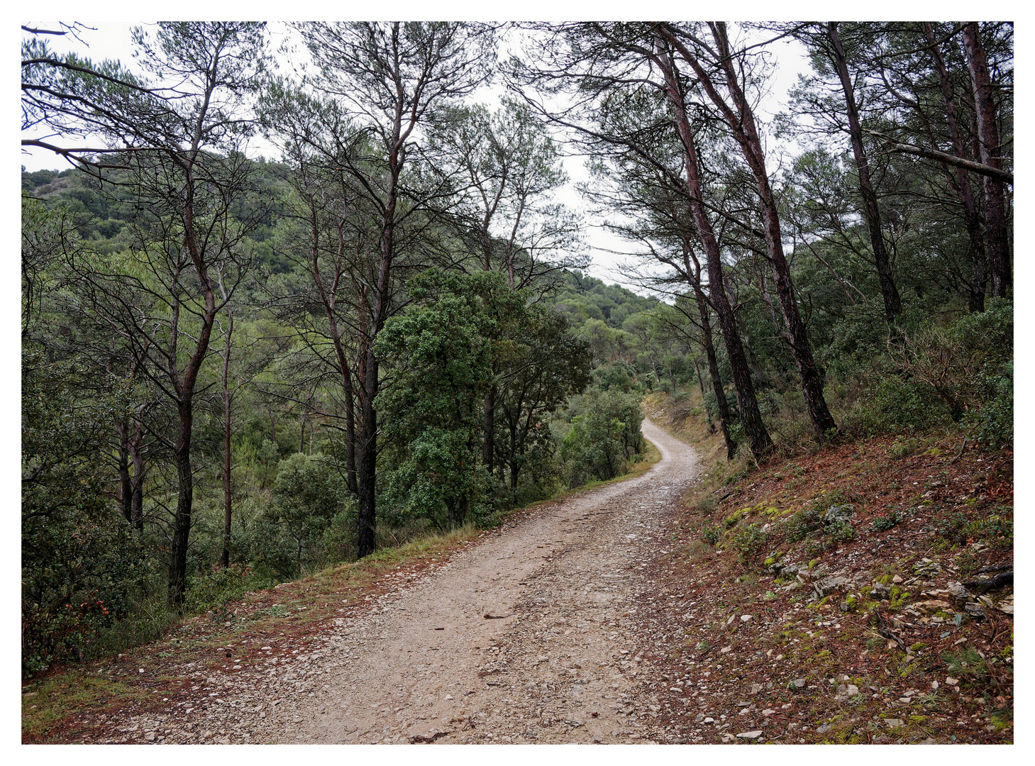 Autour de Laroque Alric (84)