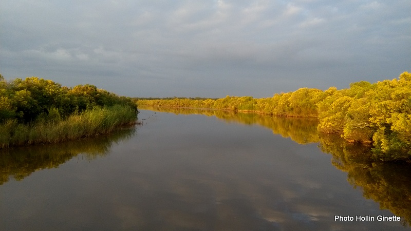 AUTOUR DU BASSIN D'ARCACHON - LE TEICH