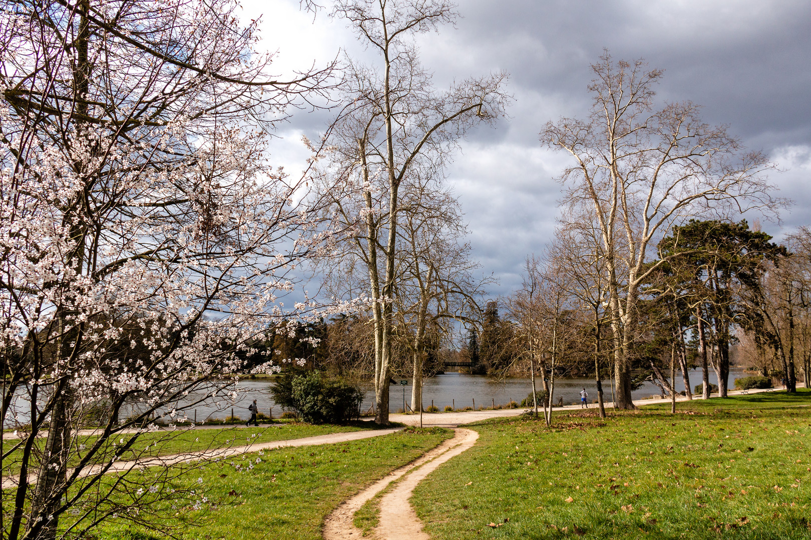 Autour du lac 