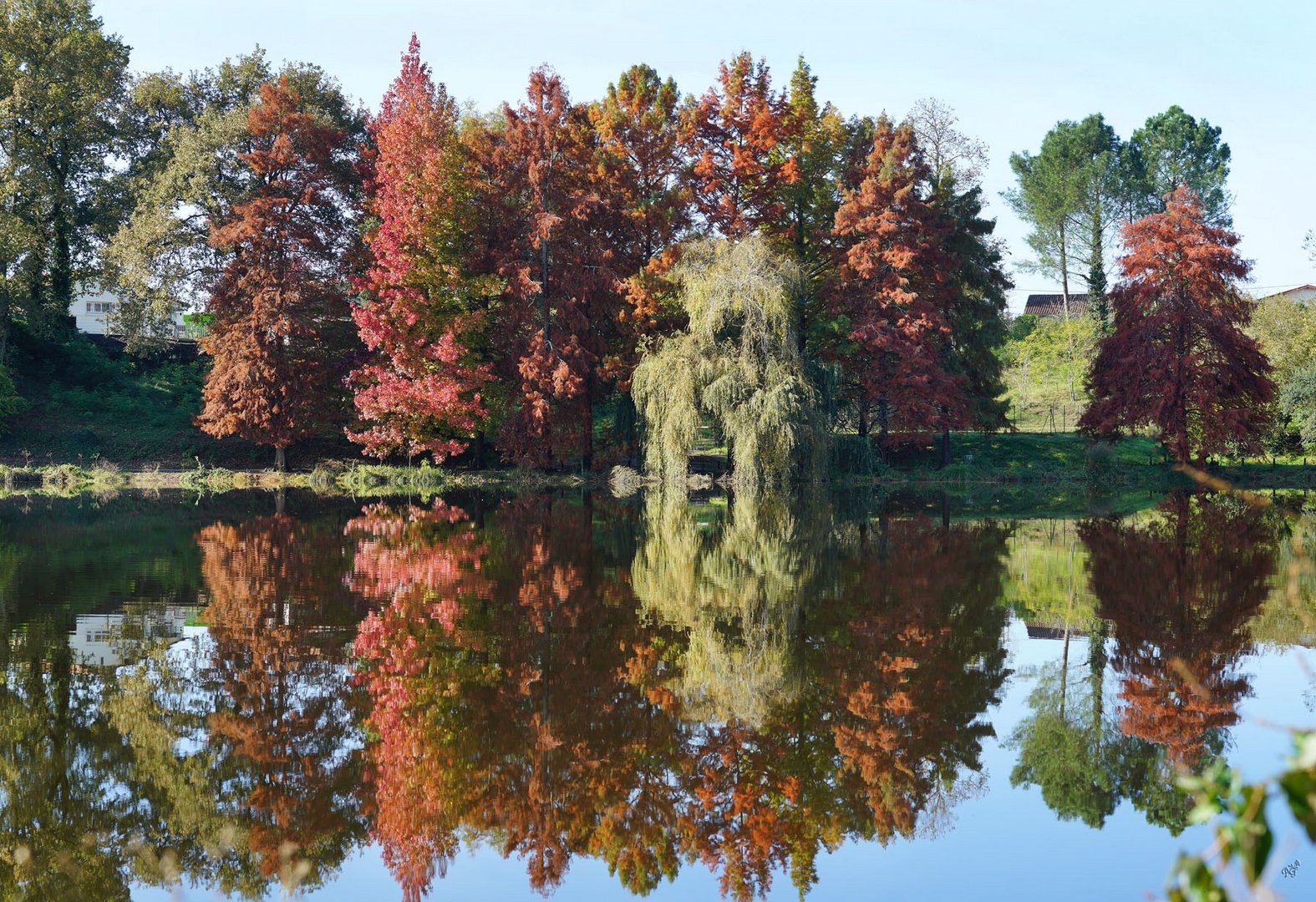 Autour du lac...