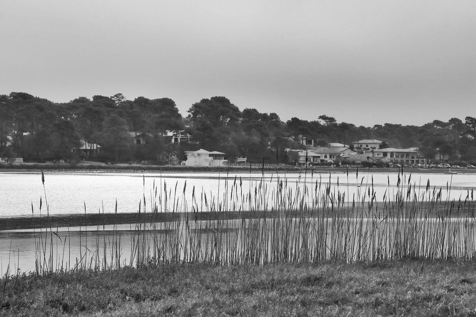 Autour du lac !