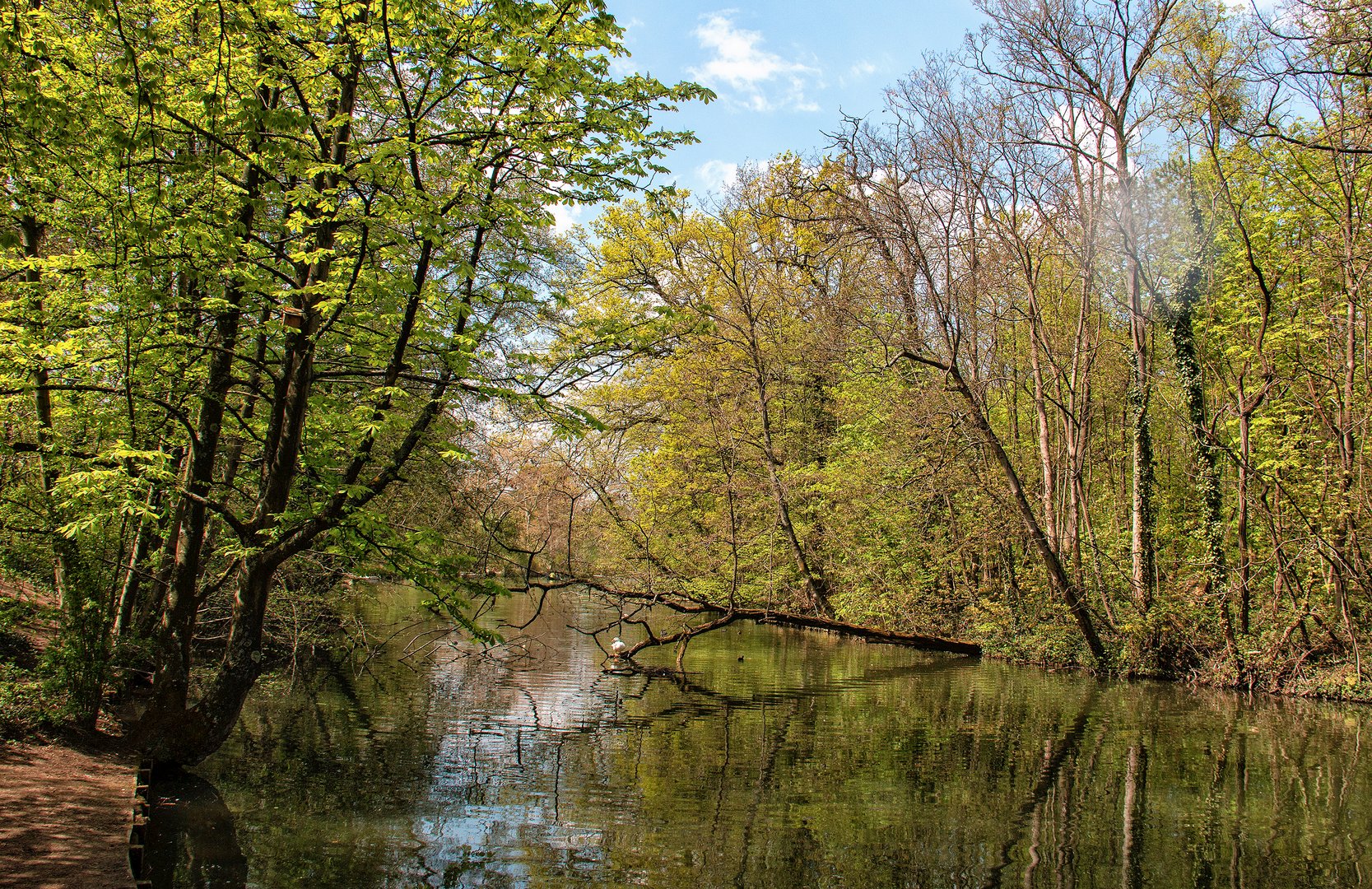 Autour du lac 