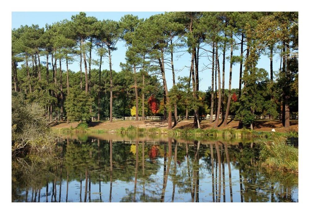 Autour du Lac de Mimizan