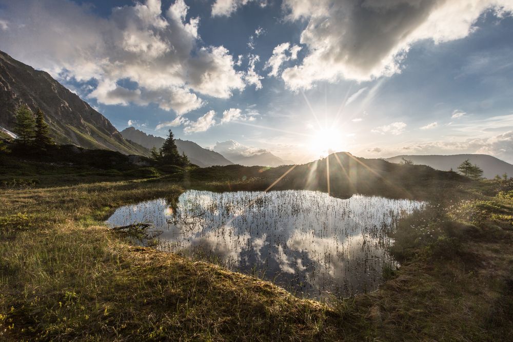 Autour du Mont Blanc (12) 