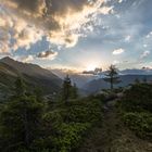 Autour du Mont Blanc (8)