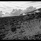 autour du volcan