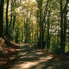 Autoweg von der Wipperaue in Solingen zu meinem Elternhaus ins Grünental Solingen-Widdert.