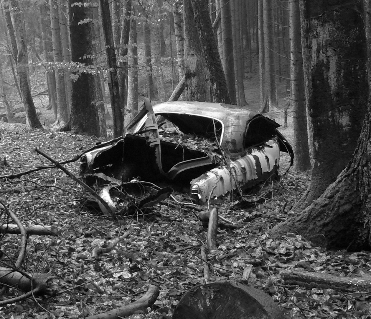 Autowrack im Wald