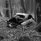 Autowrack im Wald