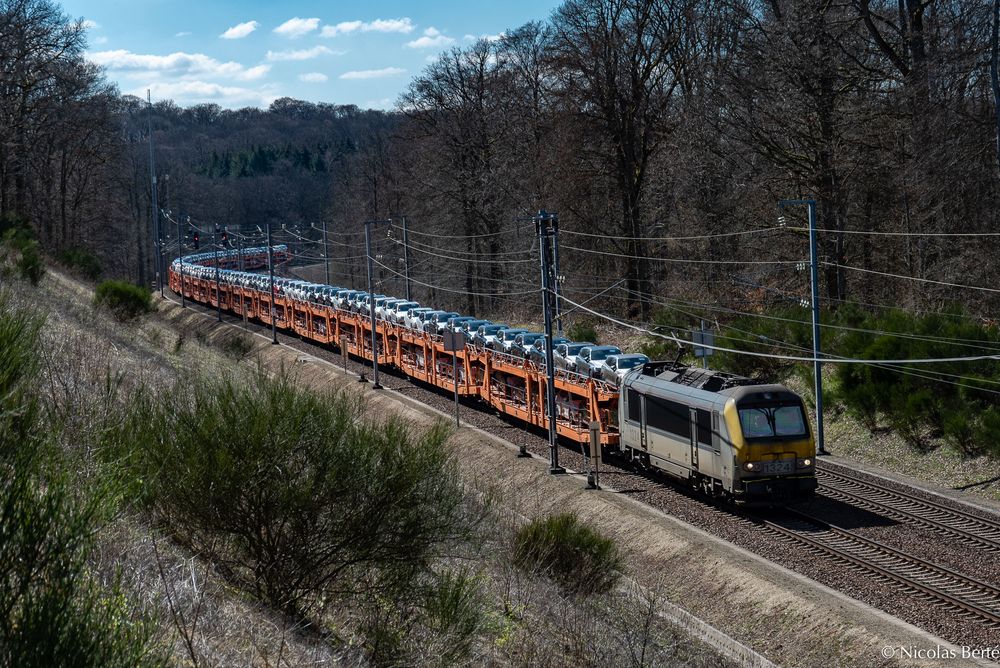 Autozug "Ich rolle" unterwegs