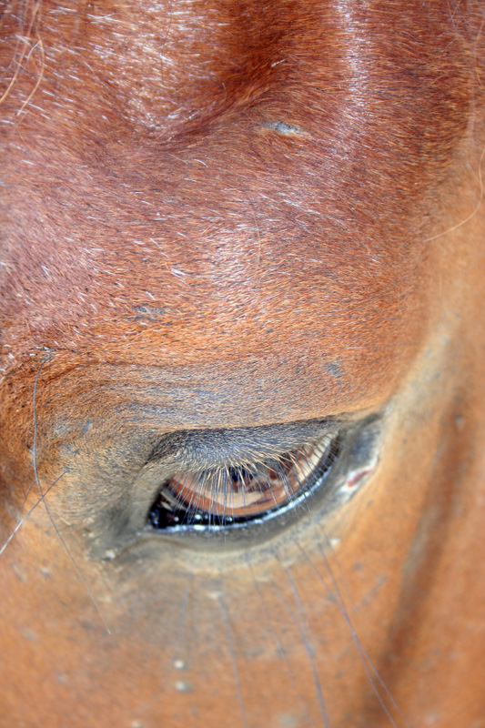 autre regard