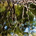 Autres reflets -