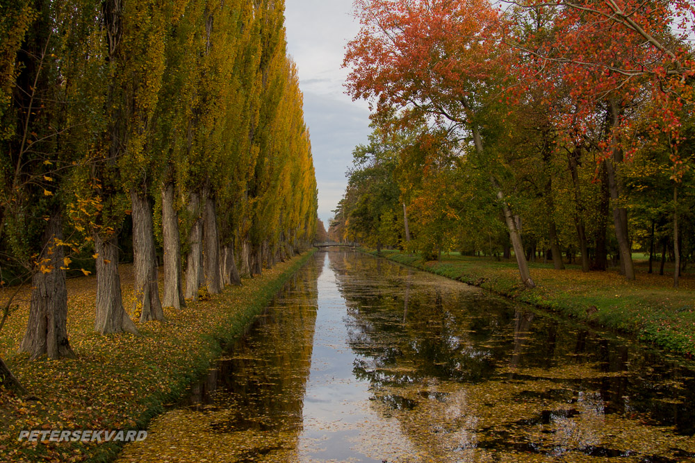 autum arrived