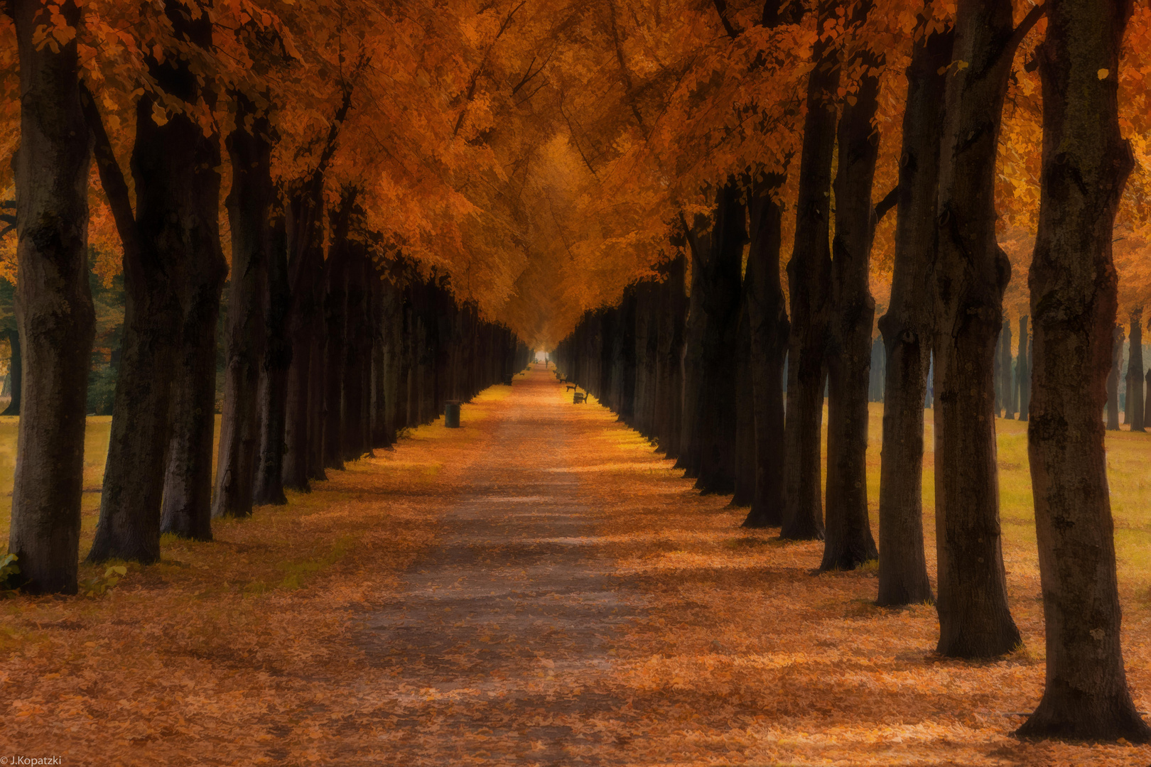 autum avenue