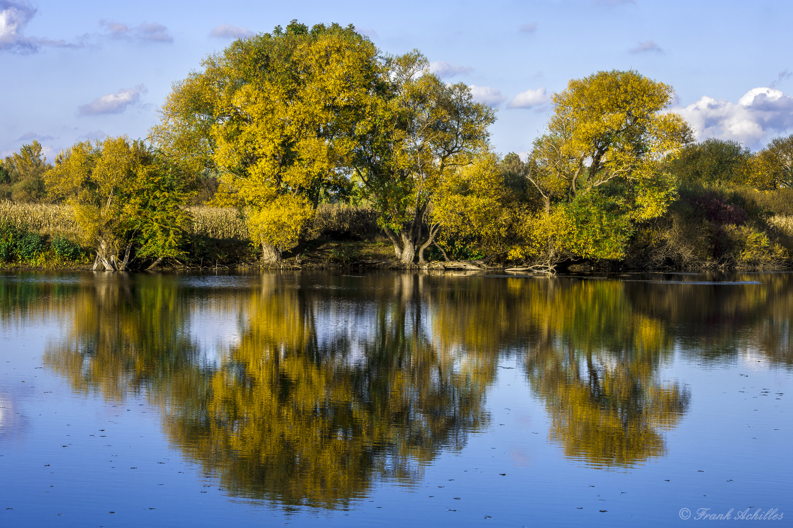 Autum Colors