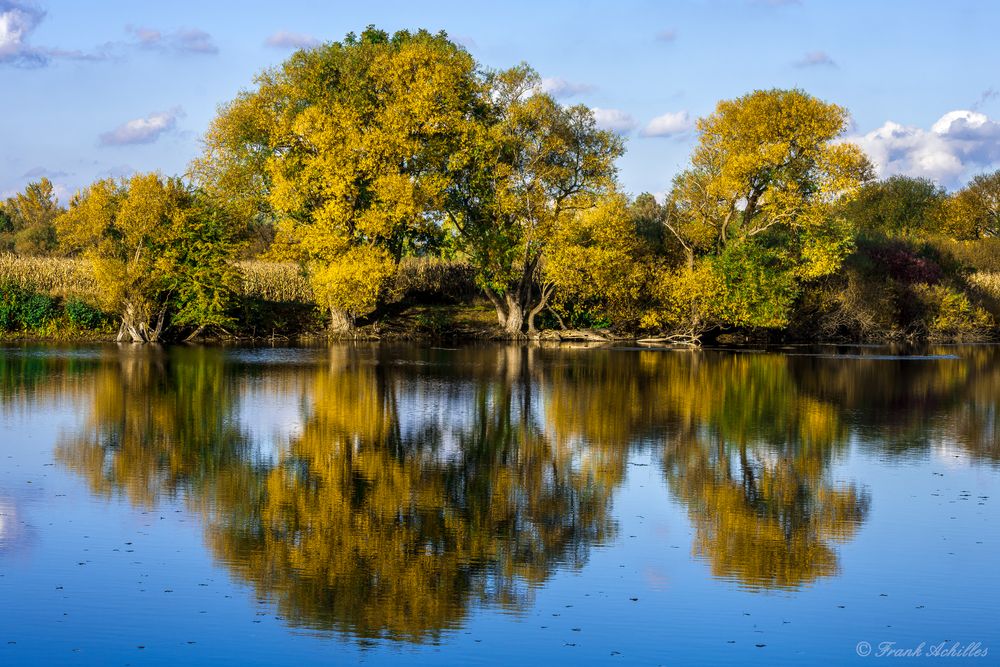 Autum Colors