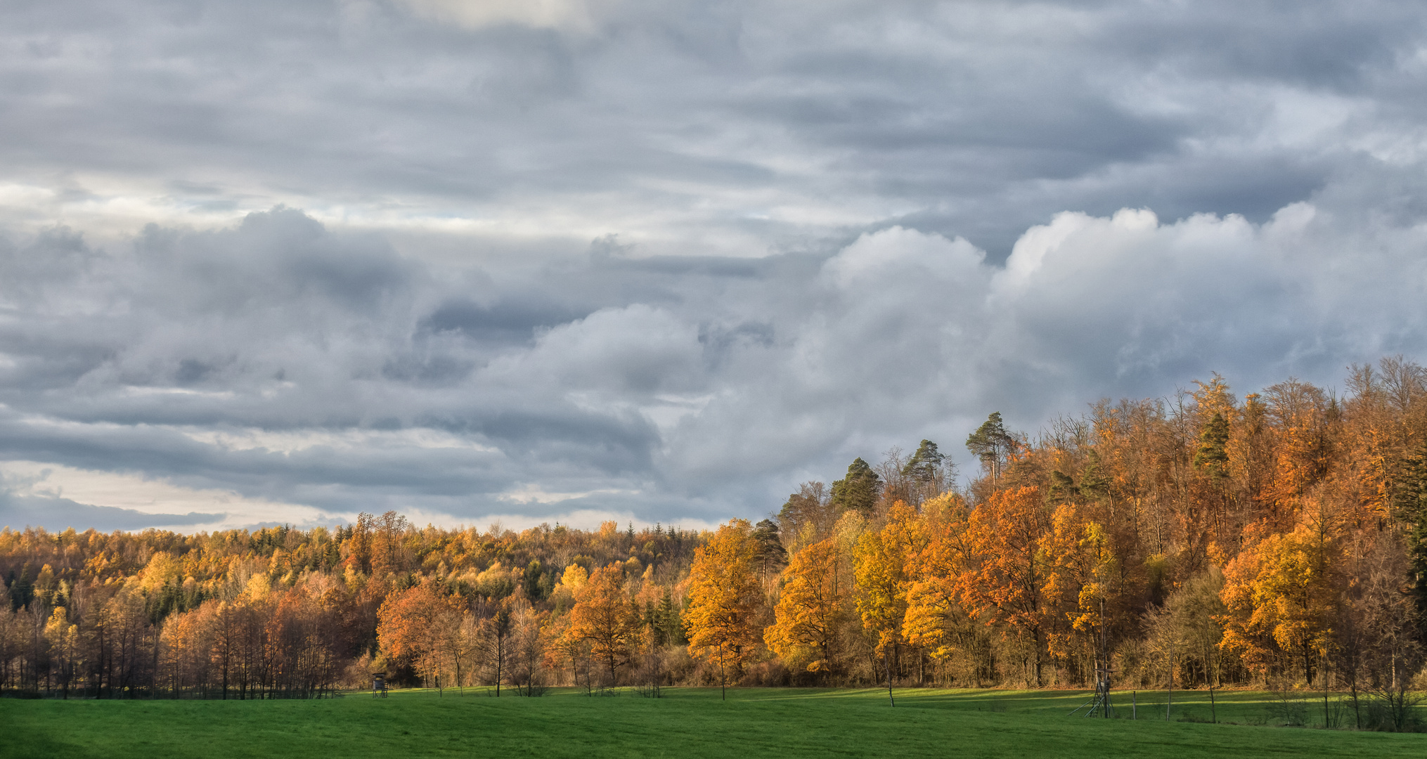 Autum Colors