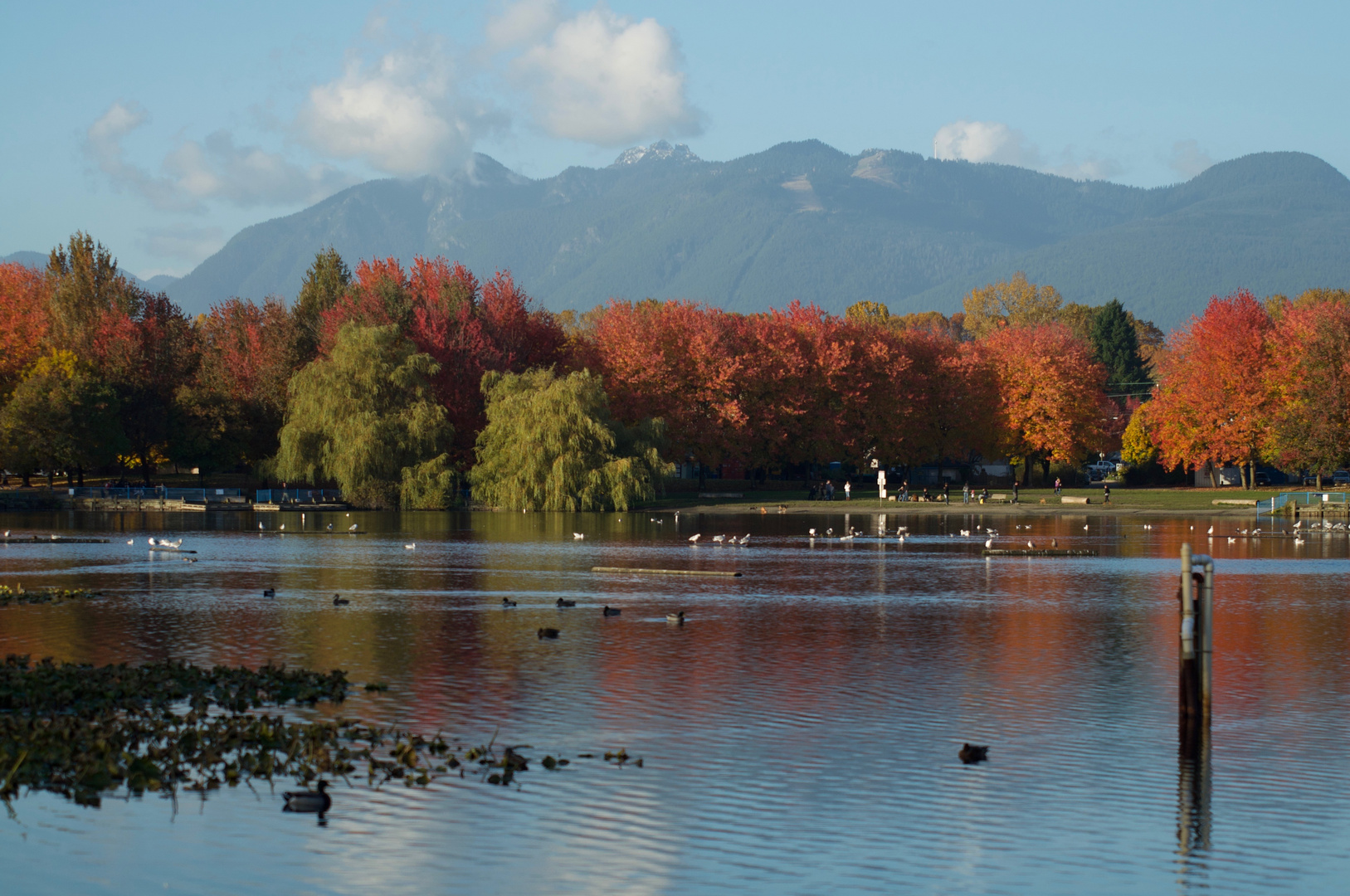 Autum colours