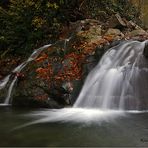 AUTUM-GIRESUN-TURKEY