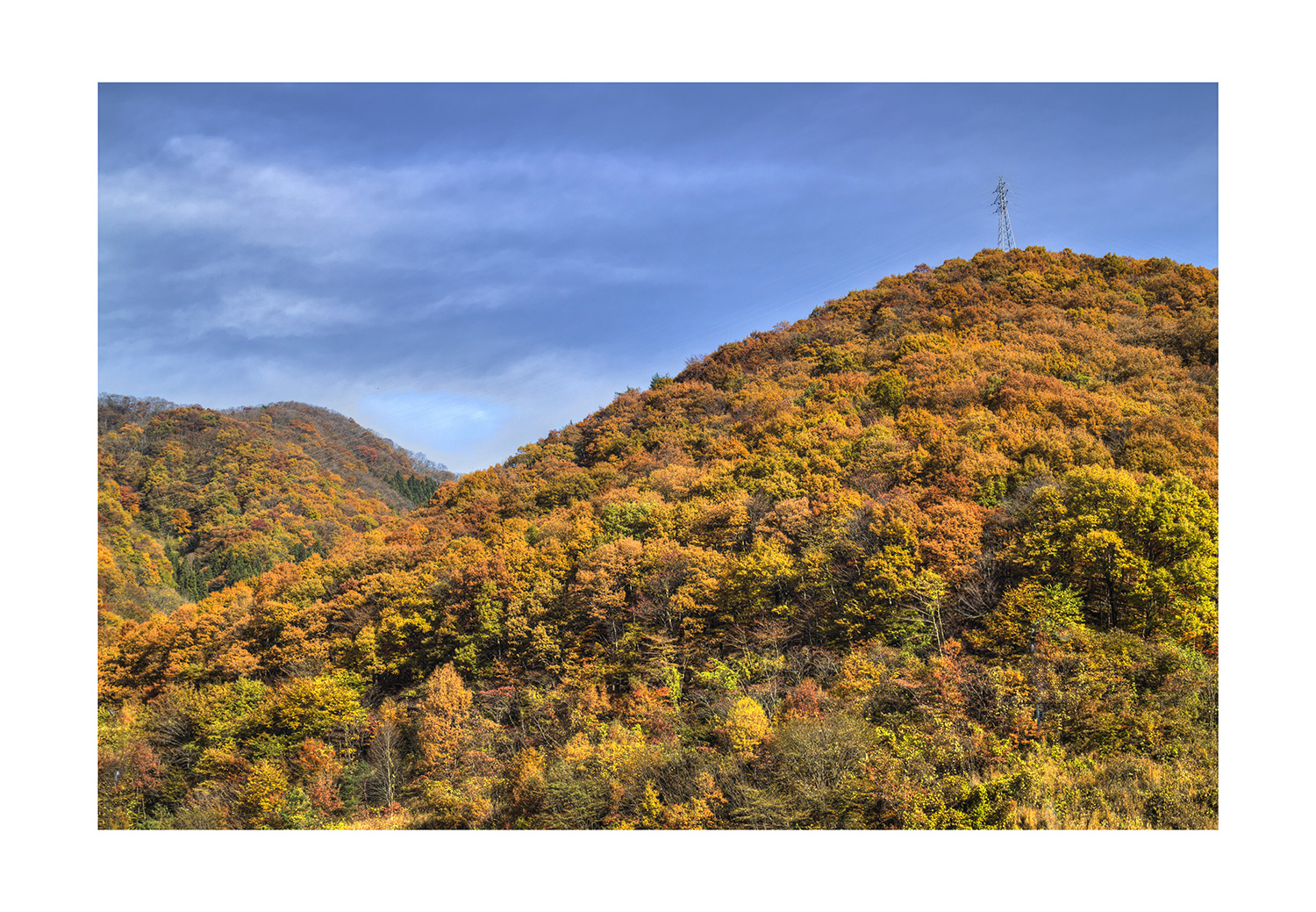 Autum In Japan 2012-1