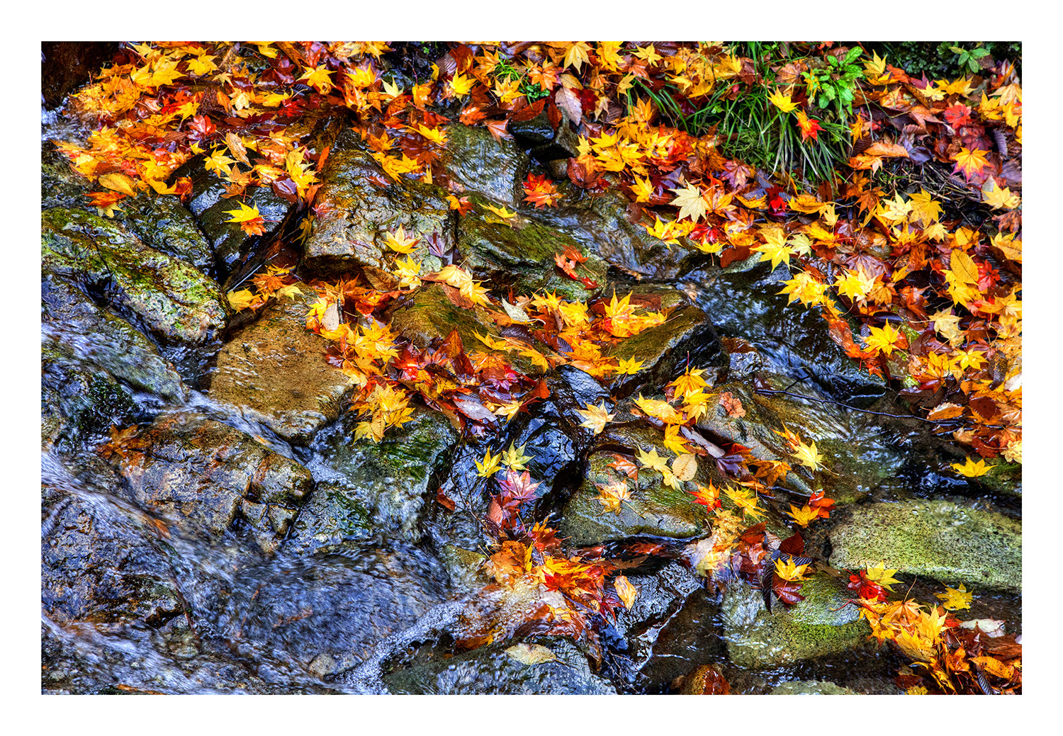 Autum In Japan 2012-11