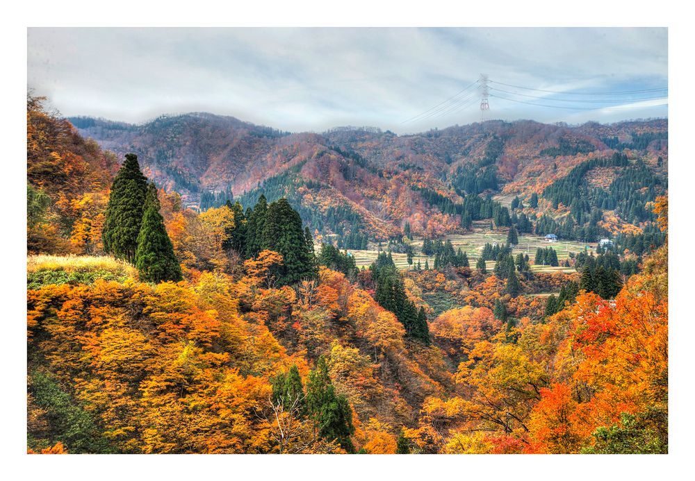 Autum In Japan 2012-9