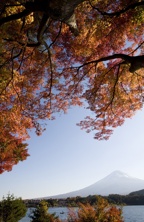 Autum in Kawaguchi_Lake