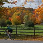 Autum in Northern Ohio