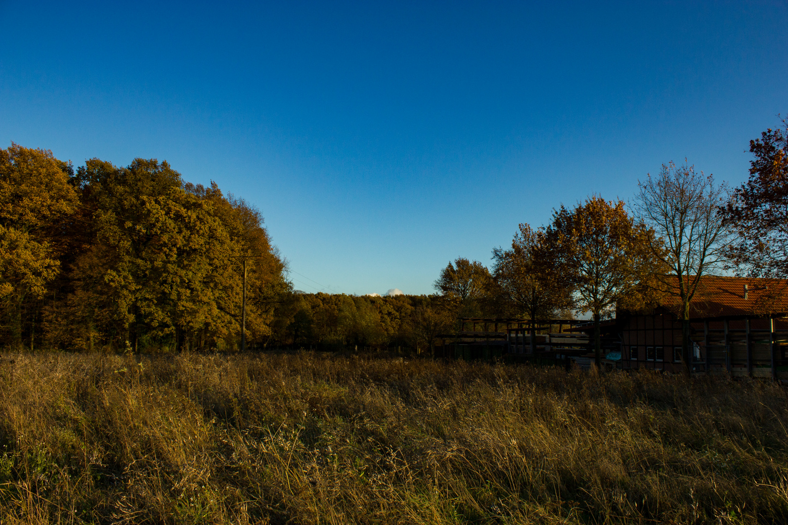 Autum in Rorup