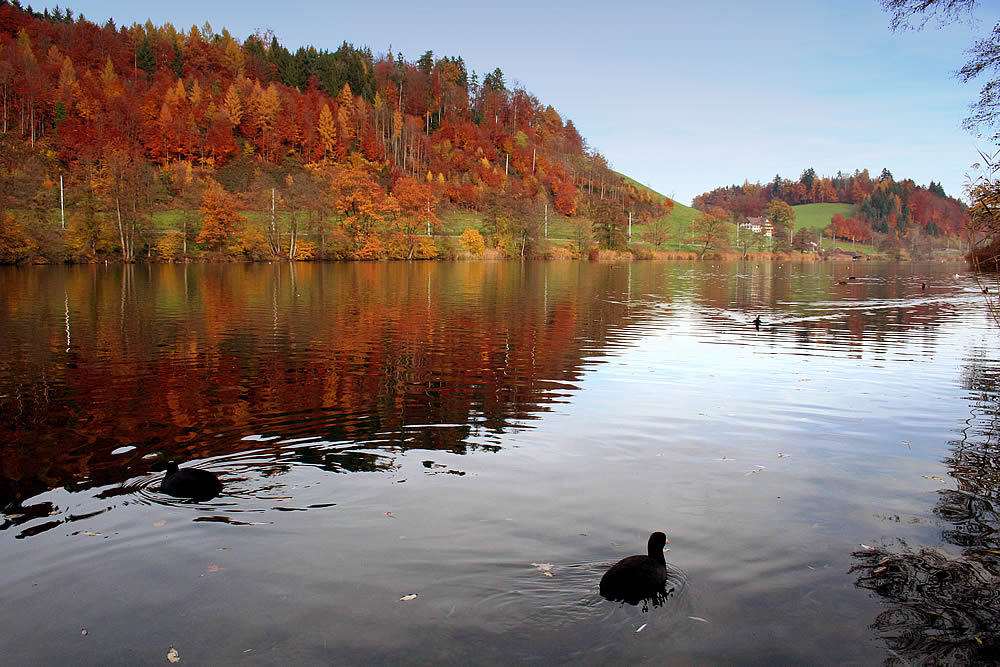 Autum in Switzerland