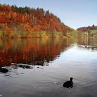 Autum in Switzerland