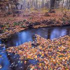 Autum in the National Park Harz