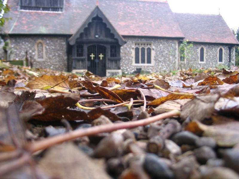 Autum Leaves