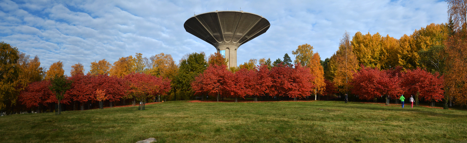 Autum on cherrypark