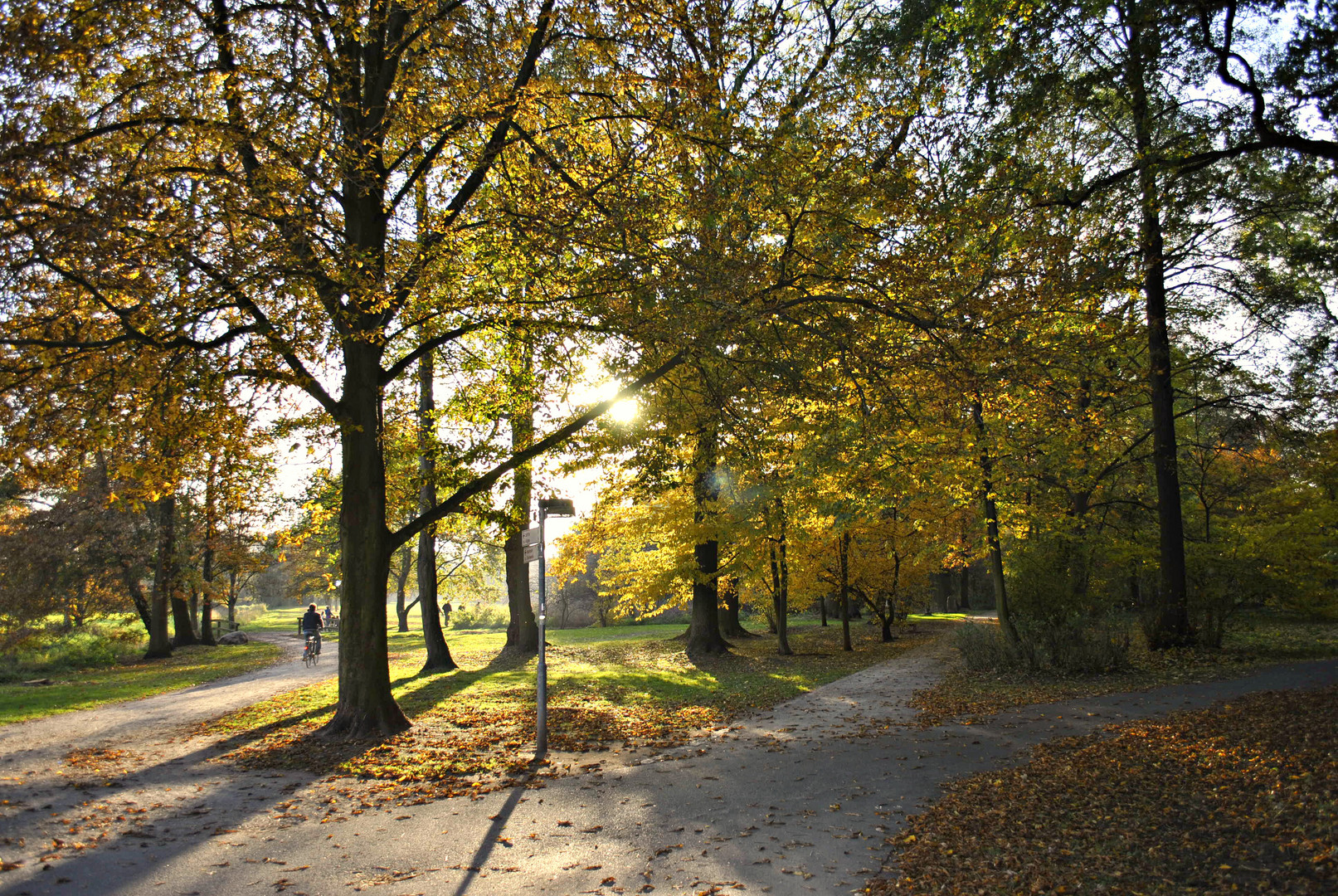 autum park