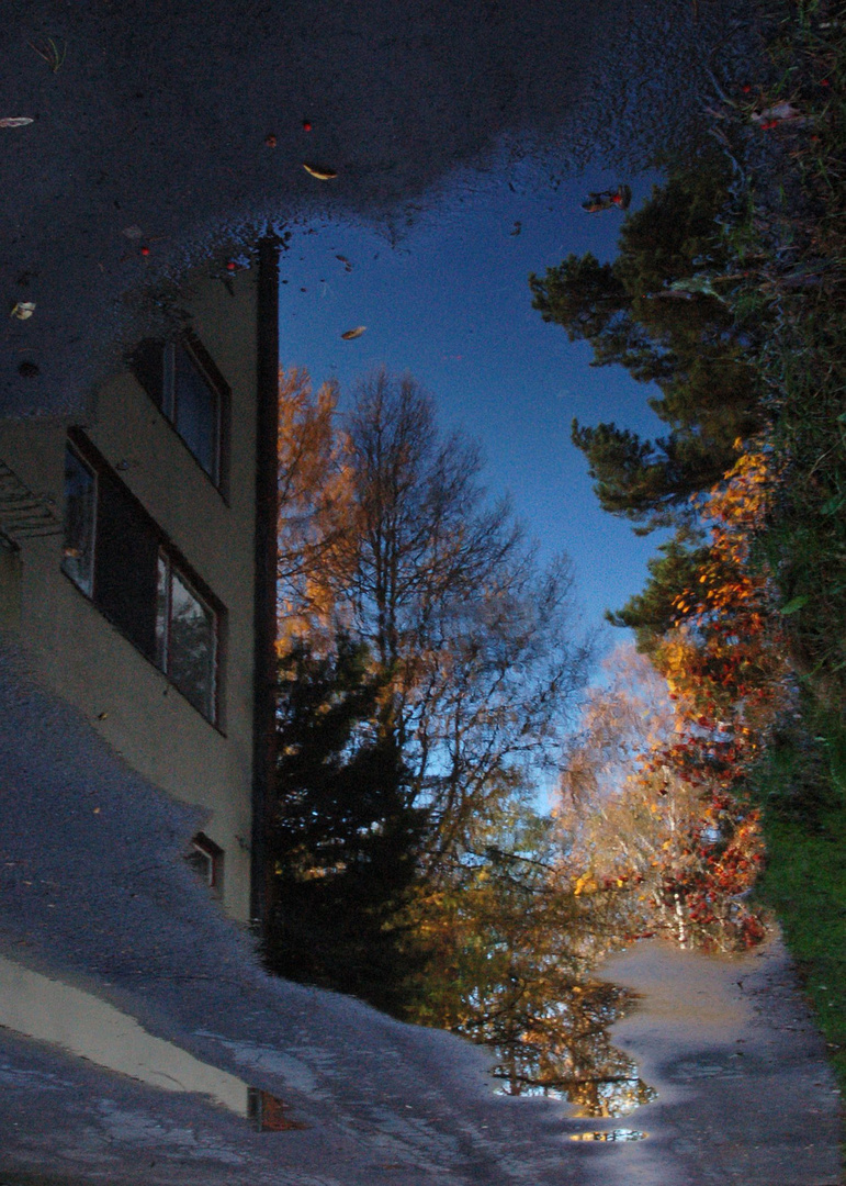 Autum reflection on the pond