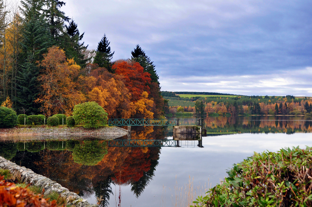 Autum reflections