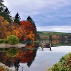 Autum reflections