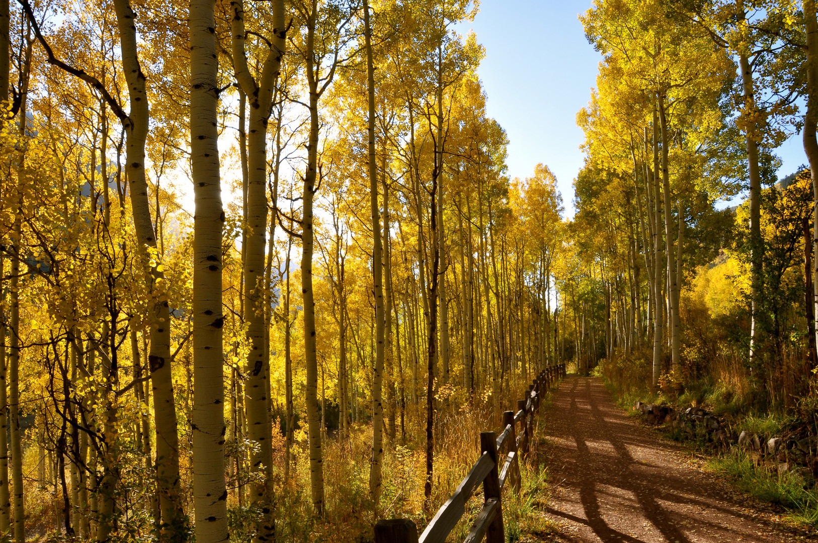 Autum Trail