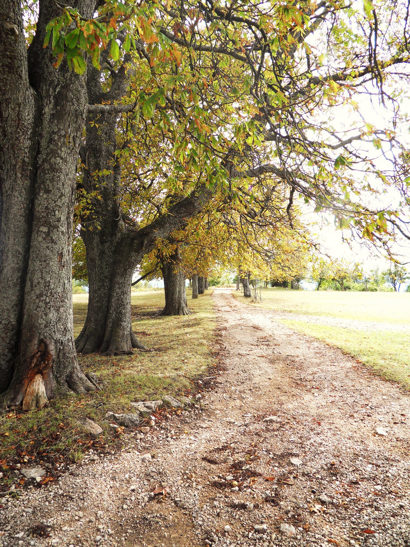 Autumn