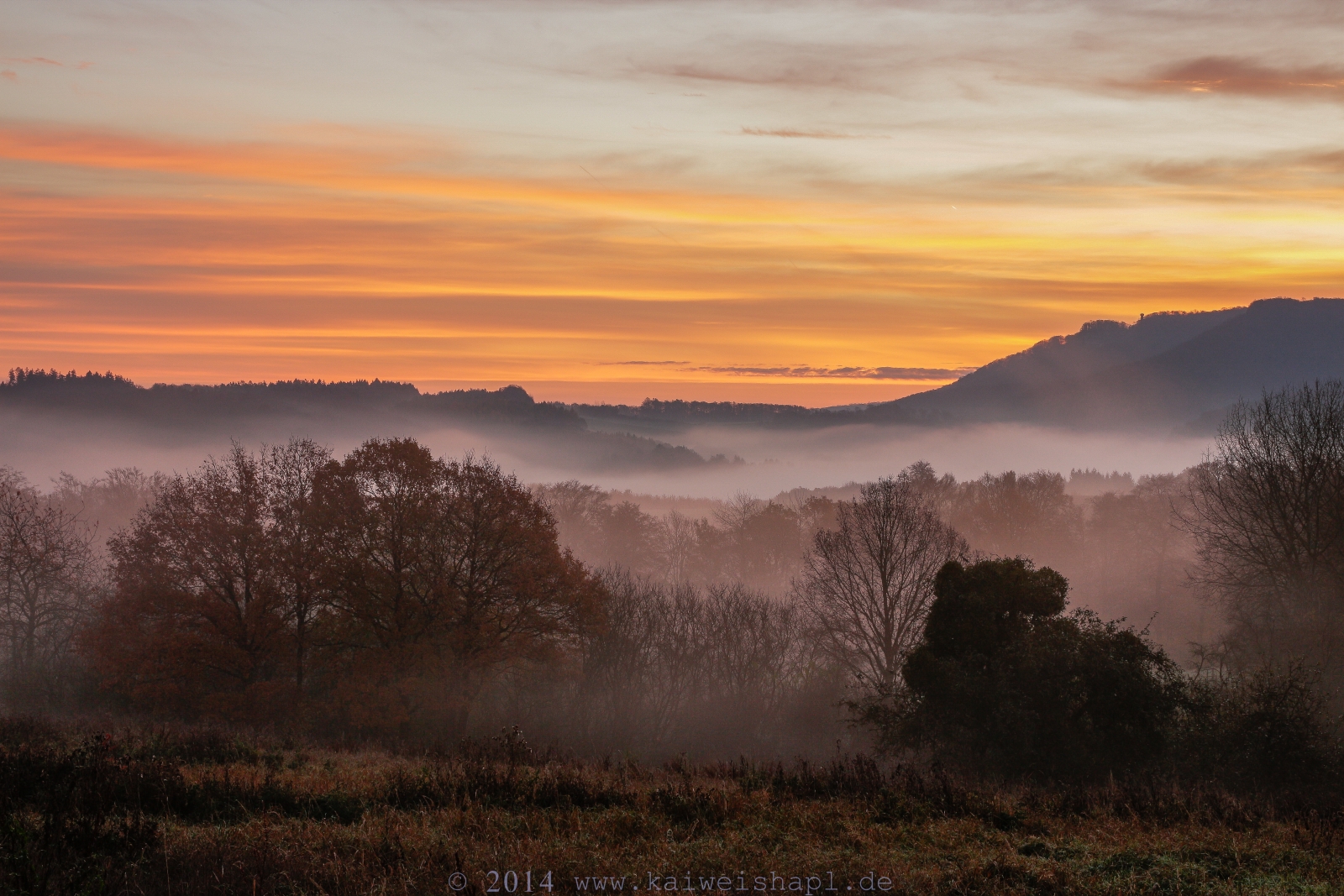 Autumn ´14