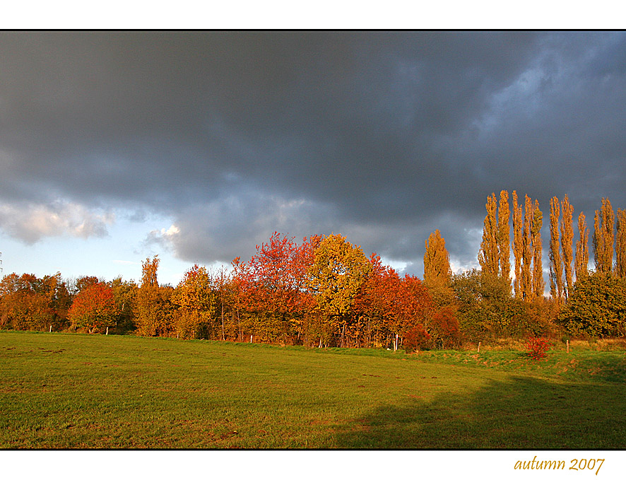 autumn 2007