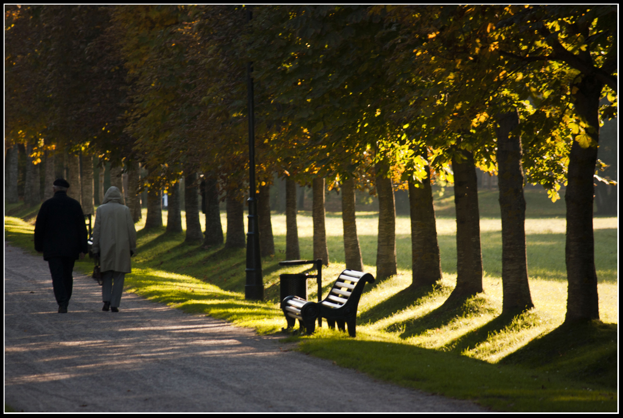 Autumn.