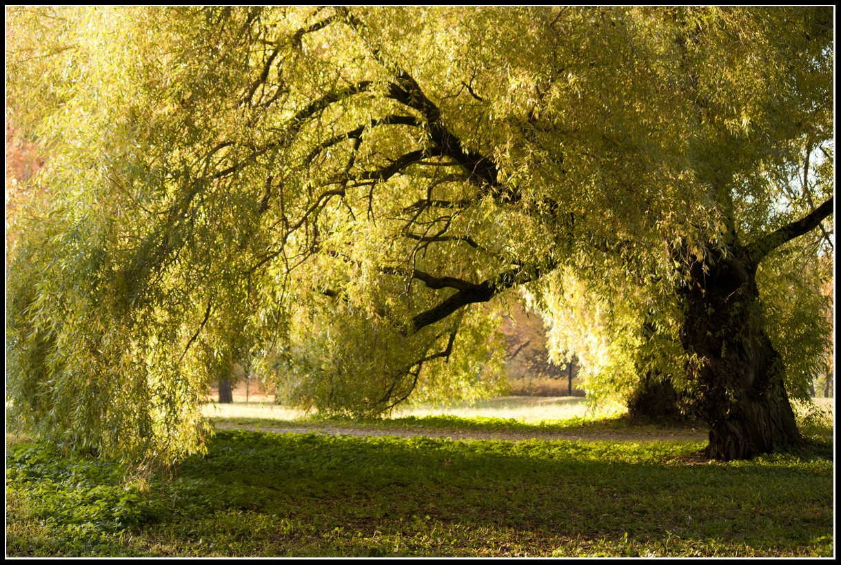 Autumn.